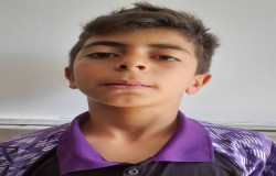 محمد جواد شریفی شاهپور