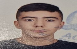 علی عفیفی