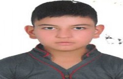 محمدرضا عرب