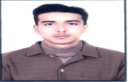 امیرحسین گل محمدی گلدر