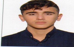 امیررضا احمدی