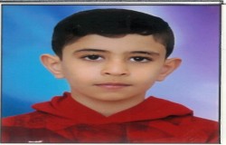 محمدجواد دریکوند