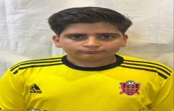 مهراد آقا نصیری