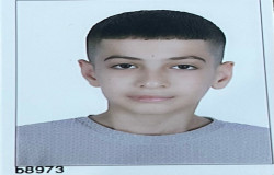 ایلیا گل محمدی