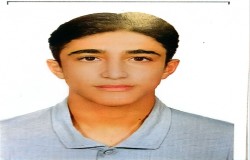 آرمان محسنی تبریزی نژاد