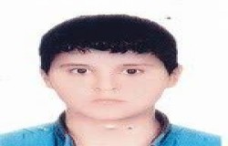امیرحسین سلطانی