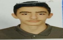 محمدرضا تیموری