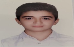 محمد مهدی شعبانی