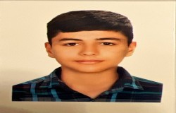 محمد جواد رفیعی فرد