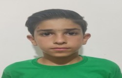 رضا ماکویی