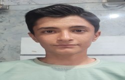 پارسا منصوری