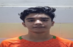 محمد مبین ولائی دلاور