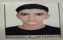 امیر محمد امین پور