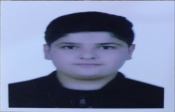 حسین شاهسواری