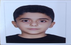محمدرضا عبادی
