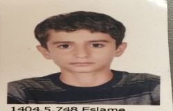 پیمان دلاوری
