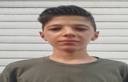 مهدیار دولتی