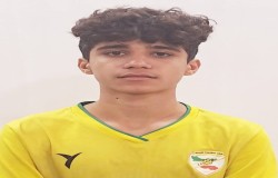 مهدی خان جمالی