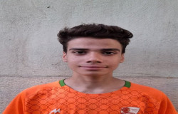 محمدپارسا جعفریان