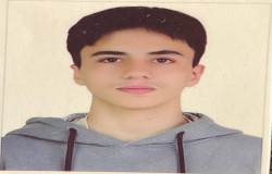 سامان حمیدی