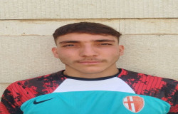محمدمهدی شعبانی