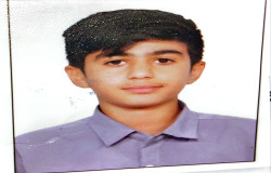امیرحافظ گلبرگ