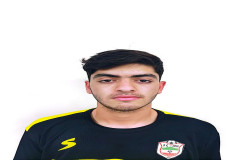 امیر علی پرپری باروجی