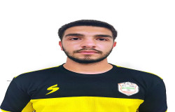 پارسا برایتان