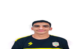 عرشیا زارعی