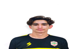امیر عباسی نصر