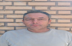 رضا پیرهادی