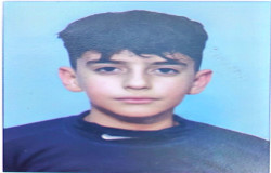 ایلیا احمدی