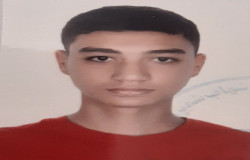 ارشین اقانبی