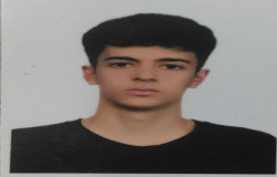 محمد حسین احمدوند