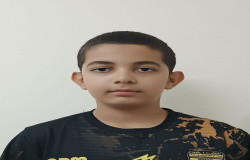 آرتین پرویزی