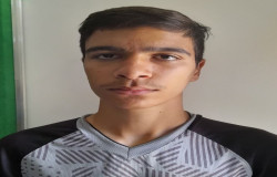 علی رضا سالک