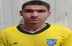 ایلیا رضایی