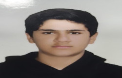 امیرحسین سلیمانی