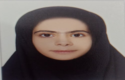 پردیس احمدی
