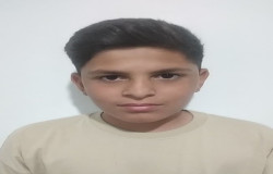 آرمین گودآسیانی