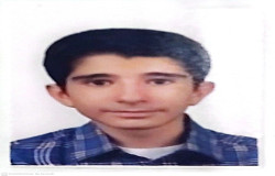 آرتین حمیری
