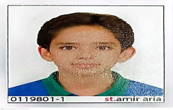 نامی نیلفروشان