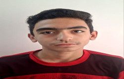مانی کمالو