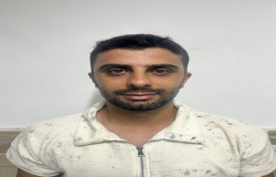 رضا شکروی