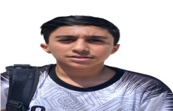 آرتین انصاری