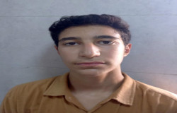 علیرضا ولدی