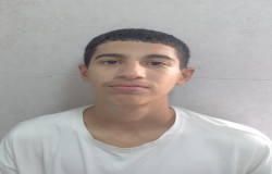 ارش اصلانی