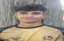 آریو سروشی