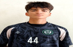 طاها شمس