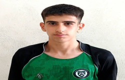 امیر علی داودی